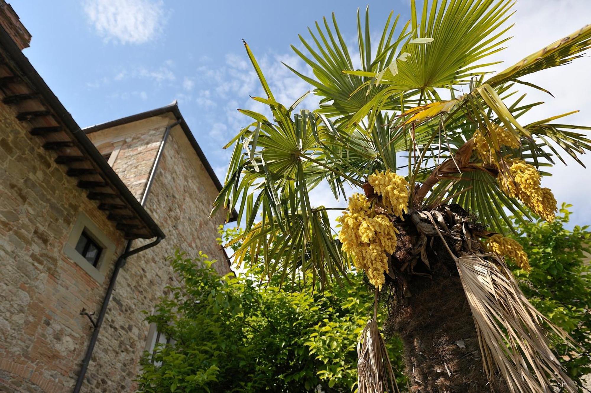 Villa Medicea Lo Sprocco Scarperia Exterior foto